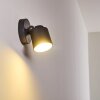 Applique murale d'extérieur Apenrader LED Anthracite, 1 lumière