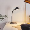 Lampe de table Shreveport LED Anthracite, Blanc, 1 lumière
