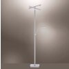 Lampadaire Paul Neuhaus ARTUR LED Acier inoxydable, 2 lumières