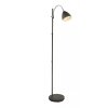 Lampadaire Globo Anthracite, 1 lumière