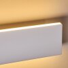 Applique murale Obion LED Blanc, 2 lumières