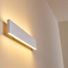 Applique murale Obion LED Blanc, 2 lumières