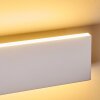 Applique murale Obion LED Blanc, 2 lumières