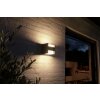 Applique murale Philips Hue White Fuzo LED Noir, 1 lumière