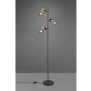 Lampadaire Trio Tosh LED Noir, 3 lumières