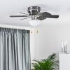 Ventilateur de plafond Trillo Gris, Bois clair, Nickel mat, 1 lumière