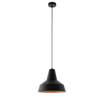 Lampe suspension Eglo SOMERTON Cuivre, Noir, 1 lumière