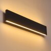 Applique murale Obion LED Noir, 2 lumières