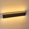 Applique murale Obion LED Noir, 2 lumières