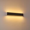 Applique murale Obion LED Noir, 2 lumières