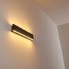 Applique murale Obion LED Noir, 2 lumières